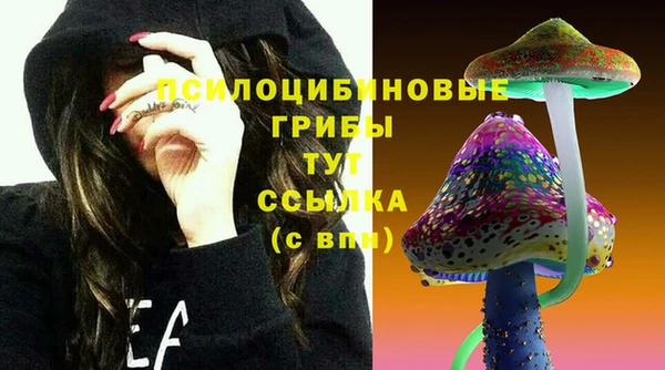 таблы Пестово