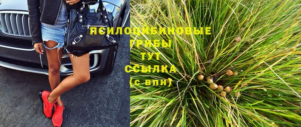 spice Осинники