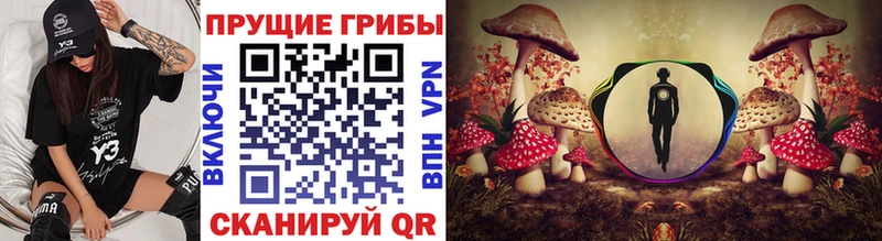 блэк спрут сайт  Серпухов  Псилоцибиновые грибы Cubensis 