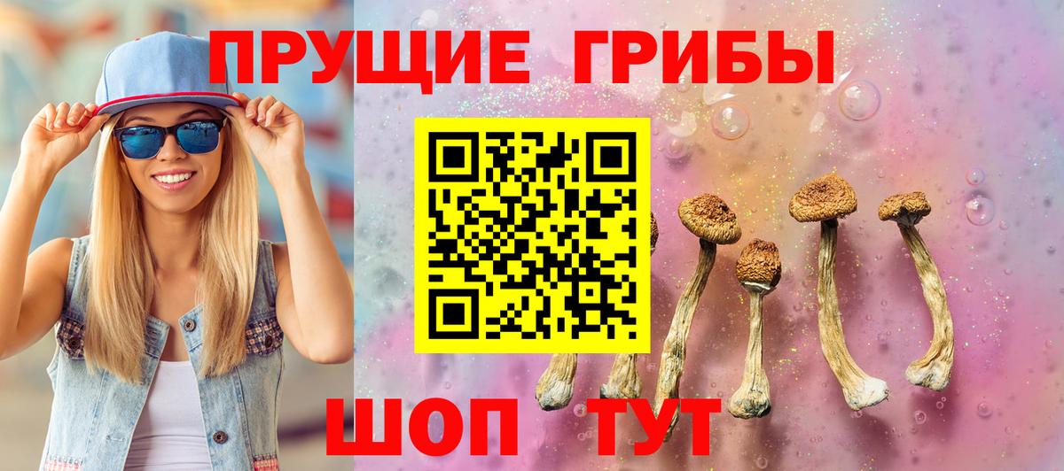 Галлюциногенные грибы GOLDEN TEACHER  Псилоцибиновые грибы MAGIC MUSHROOMS  Серпухов 