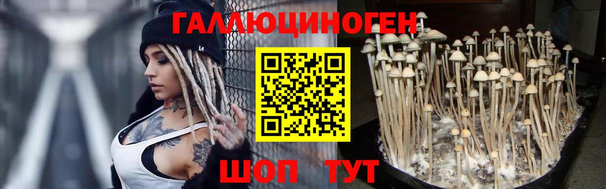 Псилоцибиновые грибы MAGIC MUSHROOMS  Вход с VPN  закладка  Галлюциногенные грибы Magic Shrooms  Серпухов 